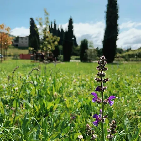 Val Κατάλυμα σε φάρμα Costermano