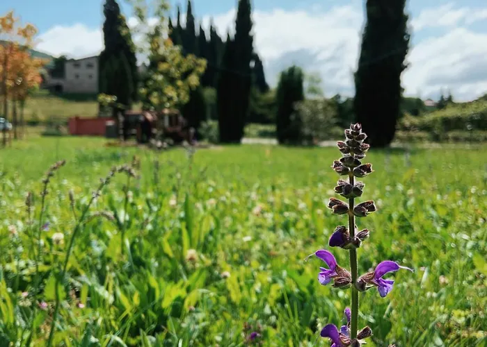 Val Agroturismo Costermano